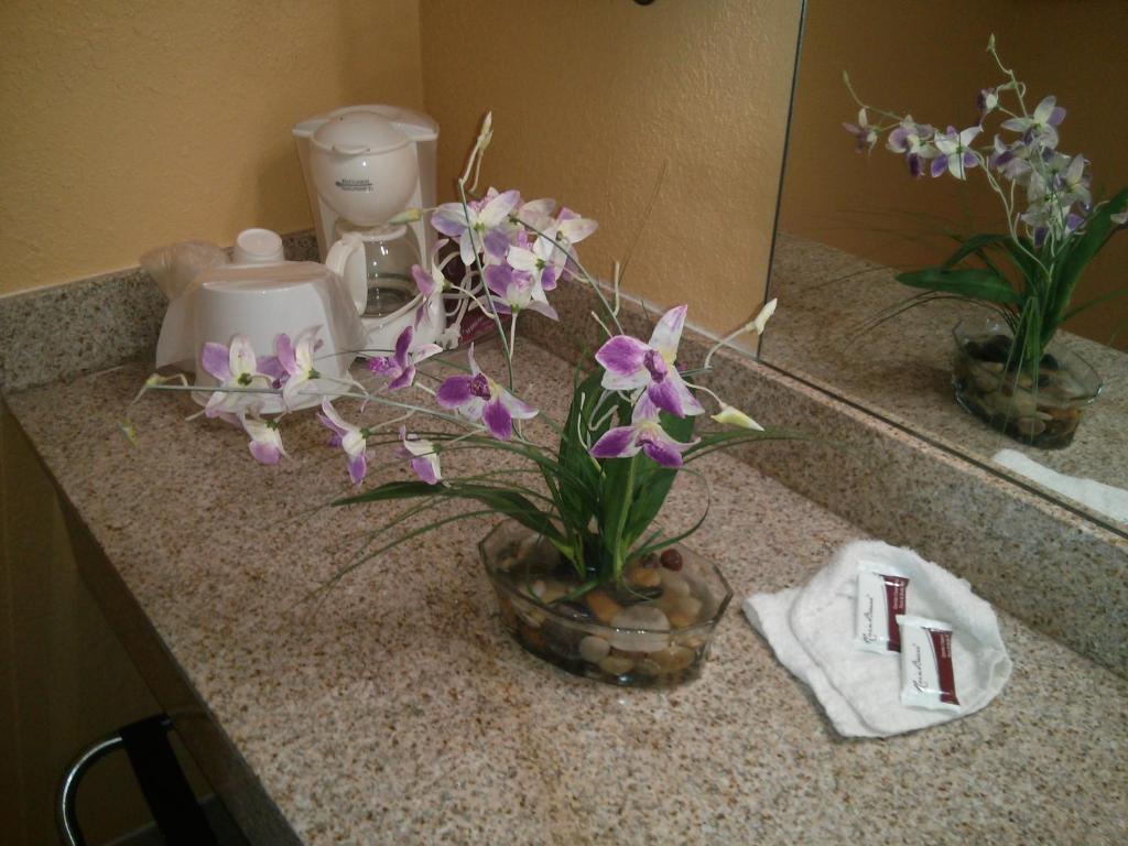 Inn Cheraw Habitación foto
